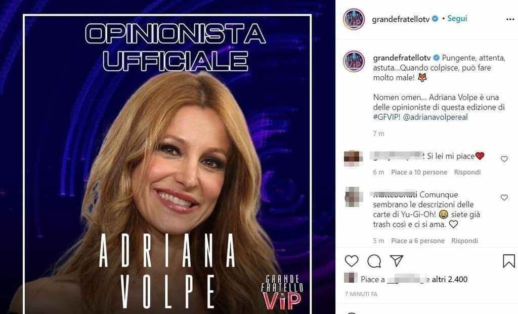 volpe gf vip